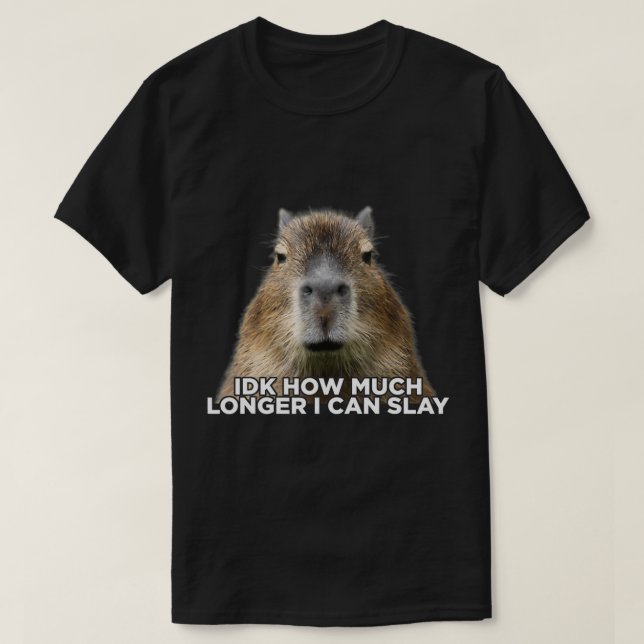 Idk How Much Longer I Can Slay Capybara Sarcastic  T-Shirt (Design Front)