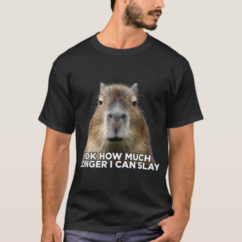 Idk How Much Longer I Can Slay Capybara Sarcastic  T_Shirt