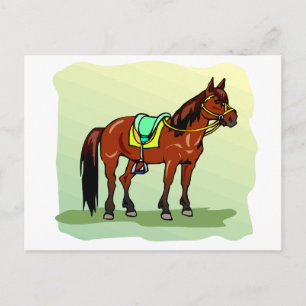 Idle Racehorse Equne Theme Horse Postcard