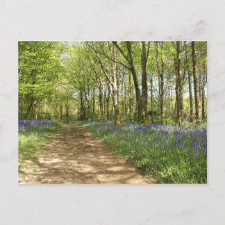 Idless Woods Postcard