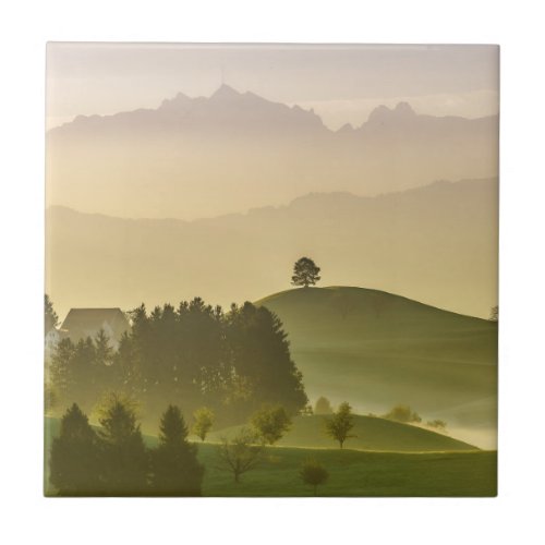 Idyllic Landscape  Switzerland Sntis Ceramic Tile