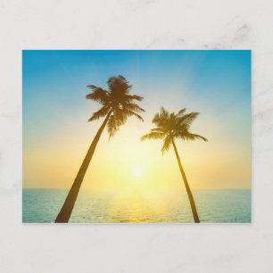 Idyllic Tropical Heaven Postcard