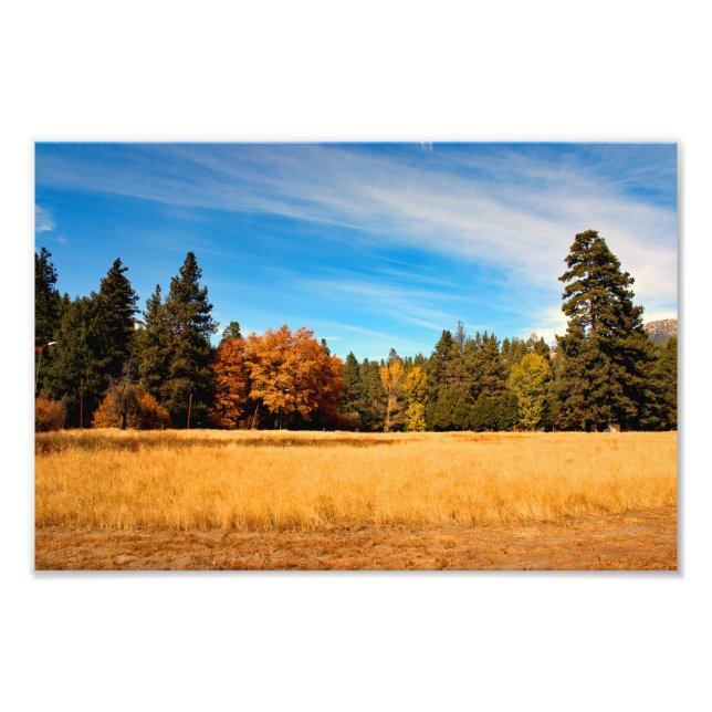 Idyllwild - Pine Cove Photo Print (Front)
