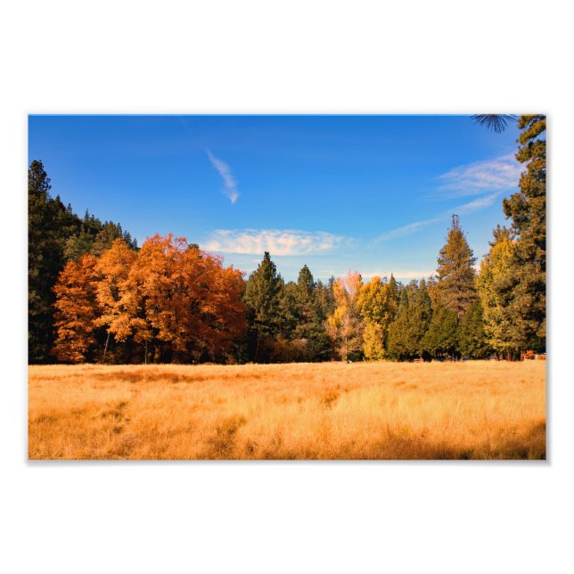 Idyllwild - Pine Cove Photo Print (Front)