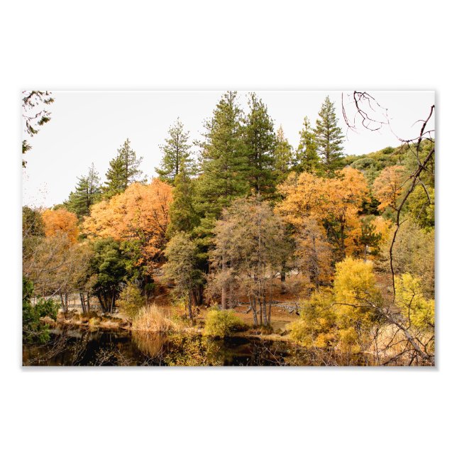 Idyllwild - Pine Cove Photo Print (Front)