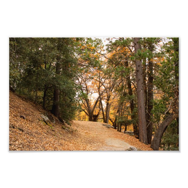 Idyllwild - Pine Cove Photo Print (Front)