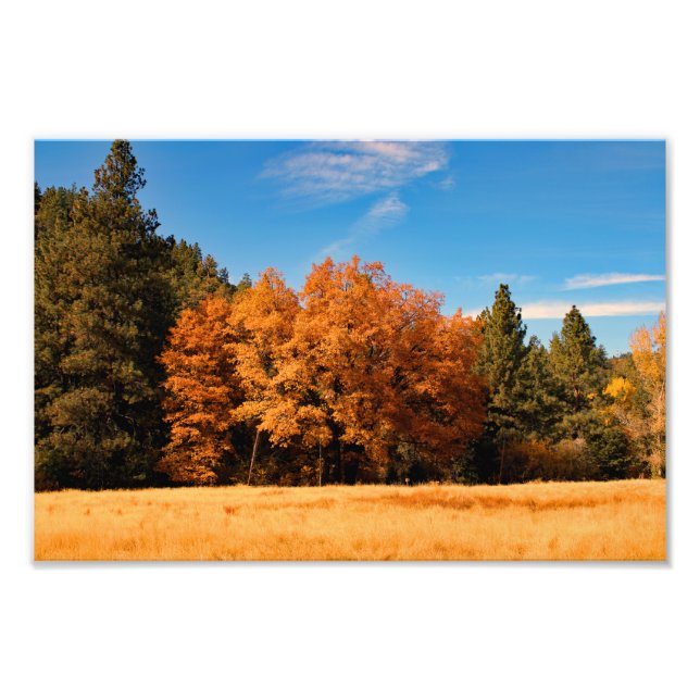 Idyllwild - Pine Cove Photo Print (Front)
