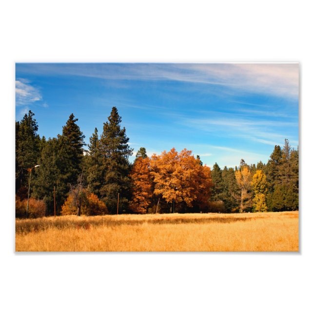 Idyllwild - Pine Cove Photo Print (Front)