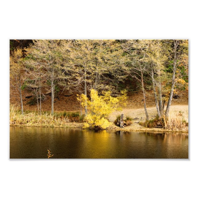 Idyllwild - Pine Cove Photo Print (Front)