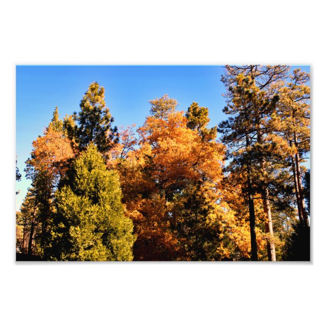Idyllwild - Pine Cove Photo Print (Front)