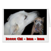 Ieee Chi hua hua (Front Horizontal)