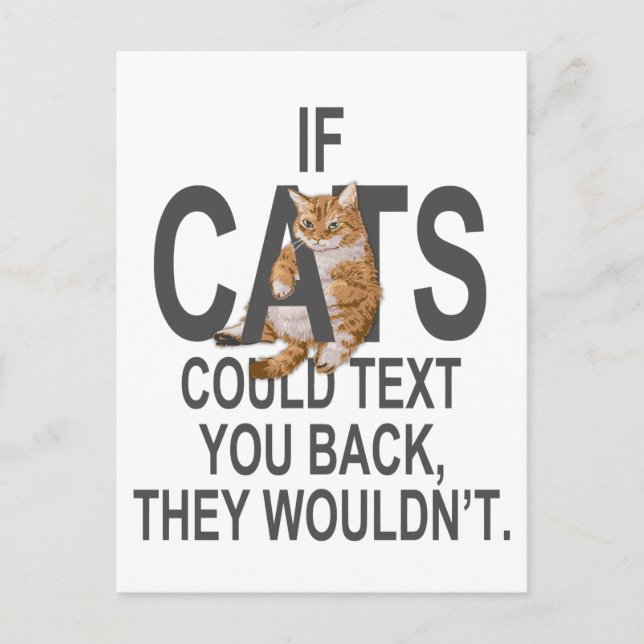 If Cats Could Text You Back, They Wouldn't Funny Postcard (Front)