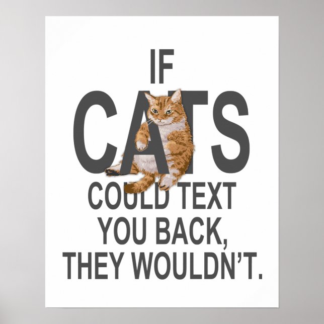 If Cats Could Text You Back, They Wouldn't Funny Poster (Front)