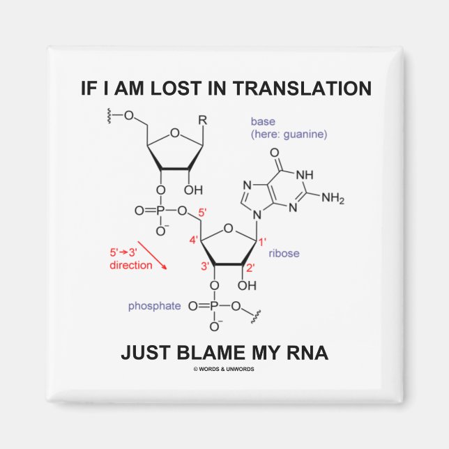 If I Am Lost In Translation Just Blame My RNA Magnet (Front)
