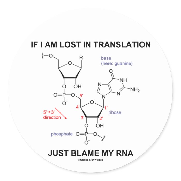 If I Am Lost In Translation Just Blame My RNA Round Stickers
