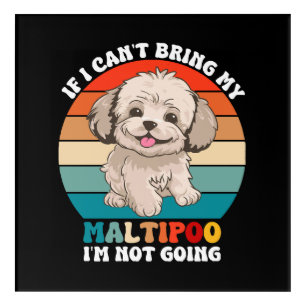 If I Can't Bring My Maltipoo Dog, I'm Not Going Acrylic Print