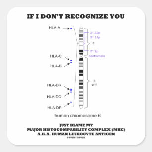 If I Don't Recognize You Just Blame My MHC Biology Square Sticker
