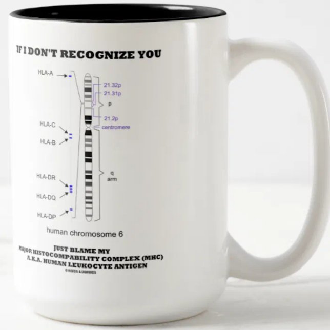 If I Don't Recognize You Just Blame My MHC Biology Two-Tone Coffee Mug (Immunologists will enjoy this MHC humor mug featuring human chromosome 6)