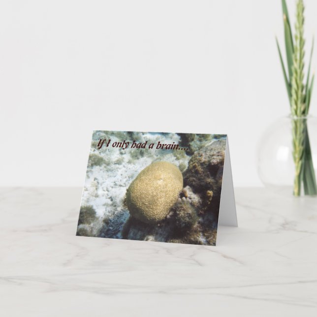 If I only had a brain  - I'm sorry card (Front)
