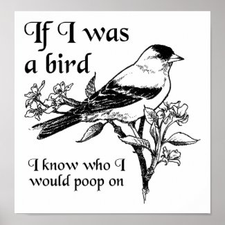 If I Was a Bird Funny Poster