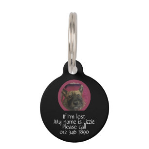 If I'm Lost, name and contact details Pet ID Tag