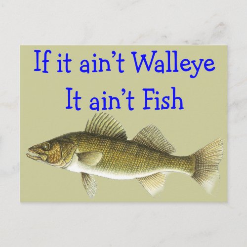 if it aint walleye aint fish postcard