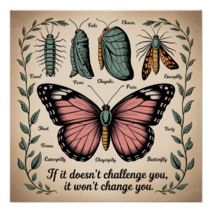 If It Doesn't Challenge You, It Won't Change You Poster