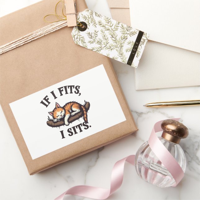 If it Fits I Sits Funny Sleepy Cat Feline Kitten   Rectangular Sticker (Gifting)