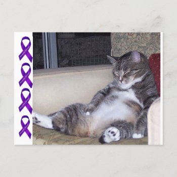 If It Requires Pants Or A Bra... Fibro Awareness Postcard by FunWithFibro at Zazzle