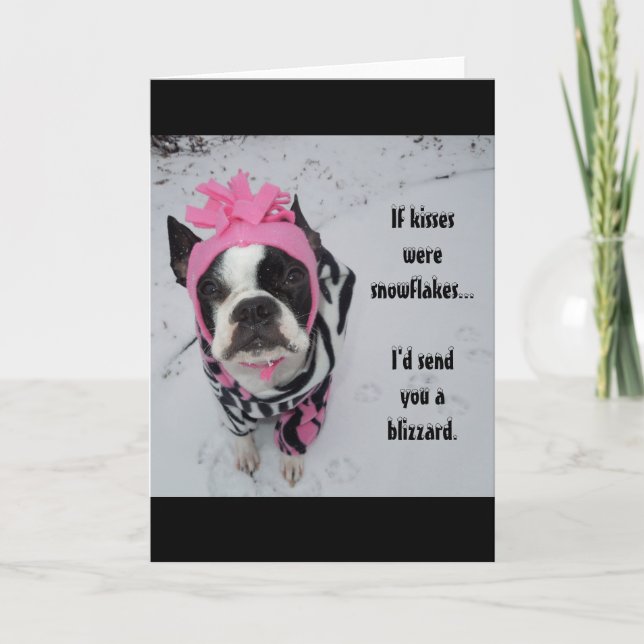 If kisses were snowflakes... Lola B. Boston Holiday Card (Front)
