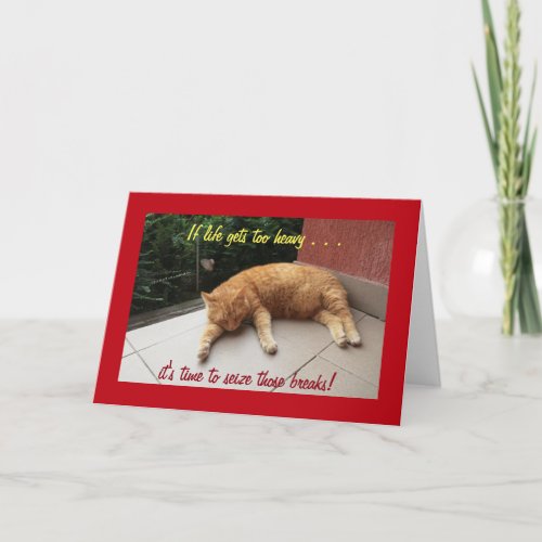 If life gets too heavy Inspirational Card cat
