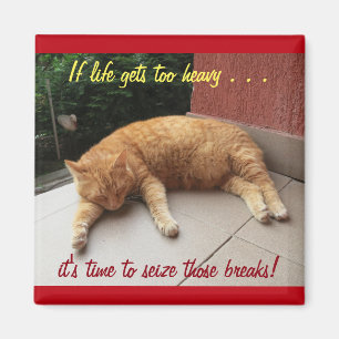 If life gets too heavy Inspirational Magnet (cat)