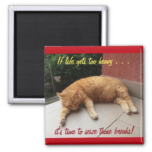 If life gets too heavy Inspirational Magnet cat