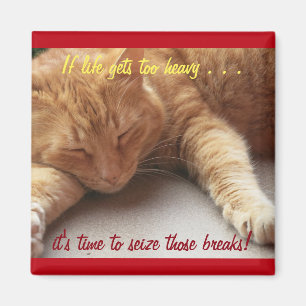 If life gets too heavy Inspirational Magnet cat 2b