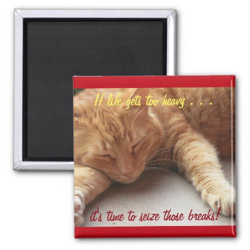 If life gets too heavy Inspirational Magnet cat 2b