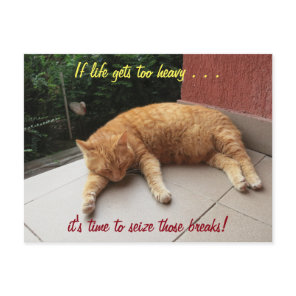 If life gets too heavy Inspirational Postcard cat