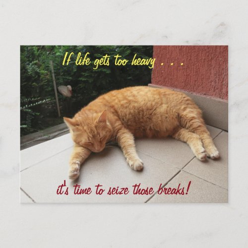 If life gets too heavy Inspirational Postcard cat