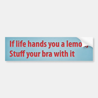 If life hands you a lemon, stuff your bra with it bumper sticker