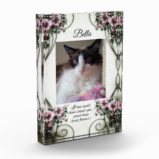 If love could have saved you... photo block