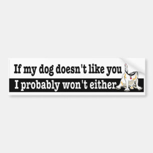 if my dog doesn't like you I probably wont either Bumper Sticker