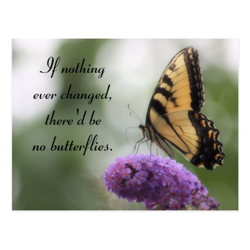 If nothing changed...Butterfly Quote & Photography Postcard | Zazzle