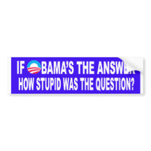 If Obama's The Answer, How Stupid Was The Question