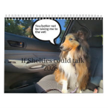 If Shelties could talk