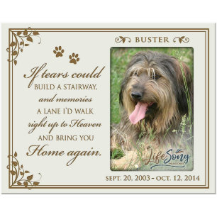 If Tears Could Build Pets Ivory Picture Frame