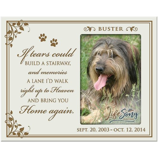 If Tears Could Build Pets Ivory Picture Frame (Front)