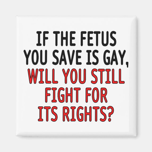 If the fetus you save is gay... magnet (Front)