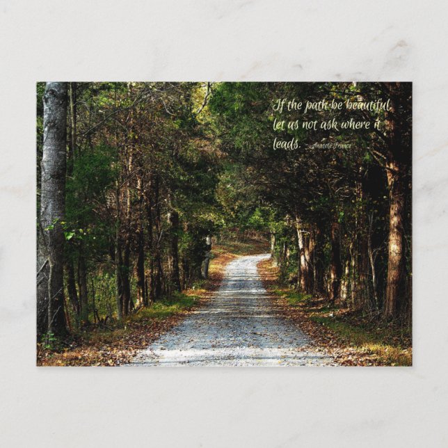 If the path be beautiful... postcard (Front)