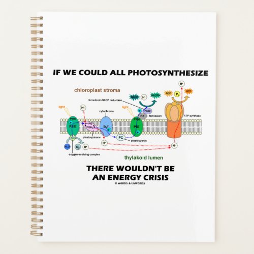 If We Could All Photosynthesize Wouldnt Be Energy Planner