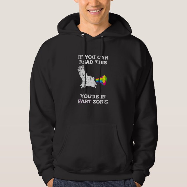 If You Can Read This You're In Fart Zone Humor Hoodie (Front)