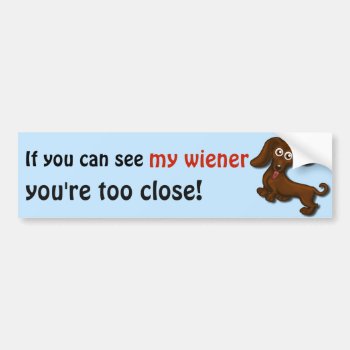 If You Can See My Wiener  Funny Dachshund Bumper Sticker by hkimbrell at Zazzle